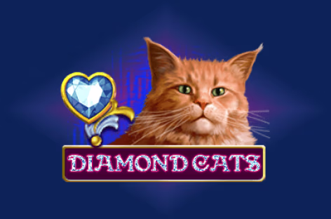 Игра:Diamond Cats